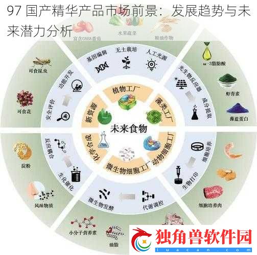 97-国产精华产品市场前景：发展趋势与未来潜力分析