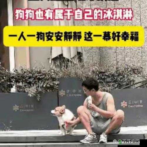 一人一狗卡住 6 小时要紧吗：后续情况及应对措施探讨