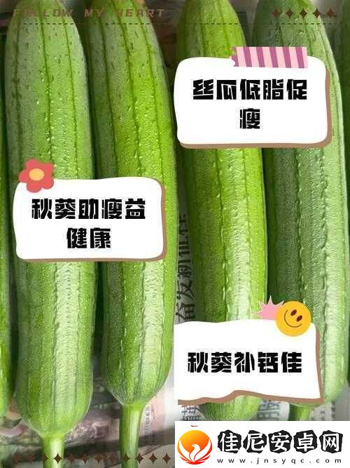秋葵茄子丝瓜香瓜榴莲大全：各类蔬果的详细介绍与食用指南