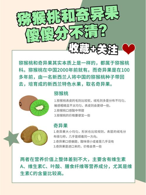 区别这么大，你能分得清吗？