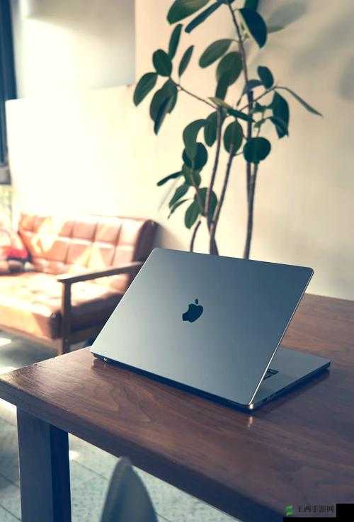 丰满 50macbookpro 高清：极致视觉体验之选