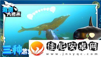 波西亚时光明特出现的新奇景观与探索体验-带你领略不一样的冒险之旅