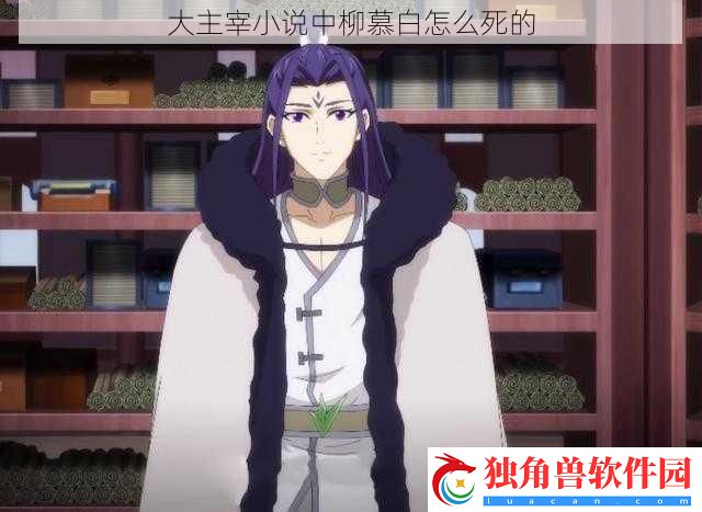 大主宰小说中柳慕白怎么死的