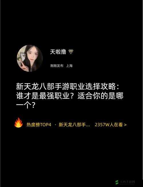 天龙八部手游六个职业副本刷图试玩视频在资源管理中的重要性及优化策略