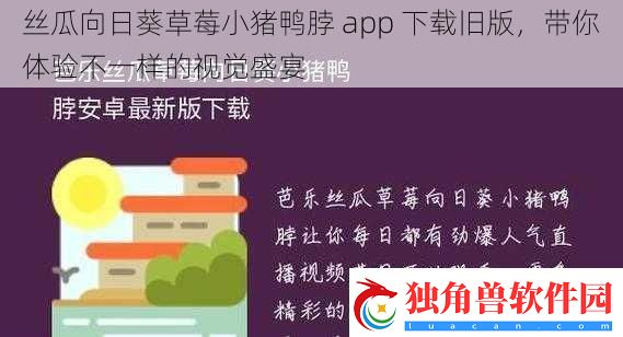 丝瓜向日葵草莓小猪鸭脖-app-下载旧版-带你体验不一样的视觉盛宴