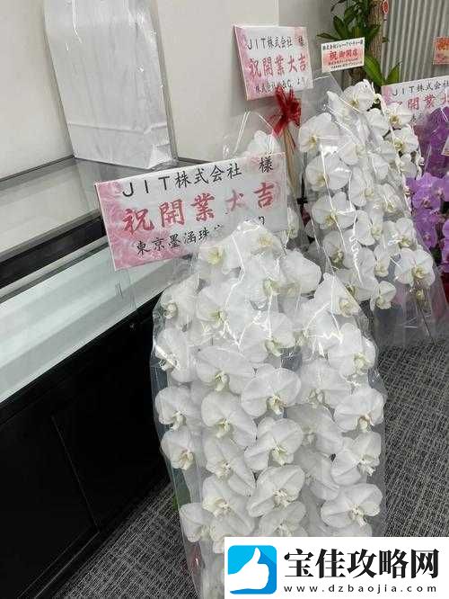 よろしくお願い申し上げます：真心诚意的请求与托付