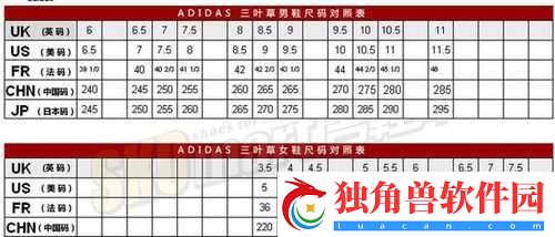 三叶草-M-码和欧洲码的区别