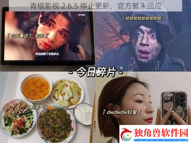 青椒影视-2.6.5-停止更新-官方暂未回应