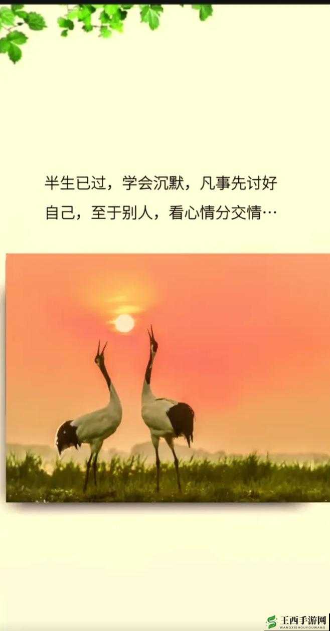 认可719y 你会回来感谢我的:相信这是一次正确的指引