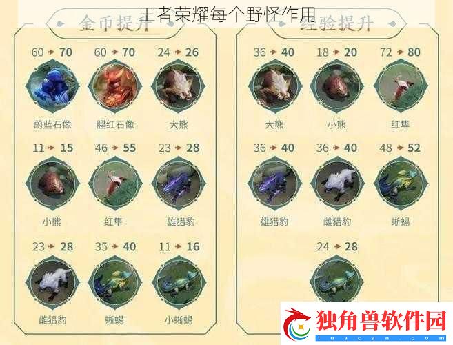 王者荣耀每个野怪作用