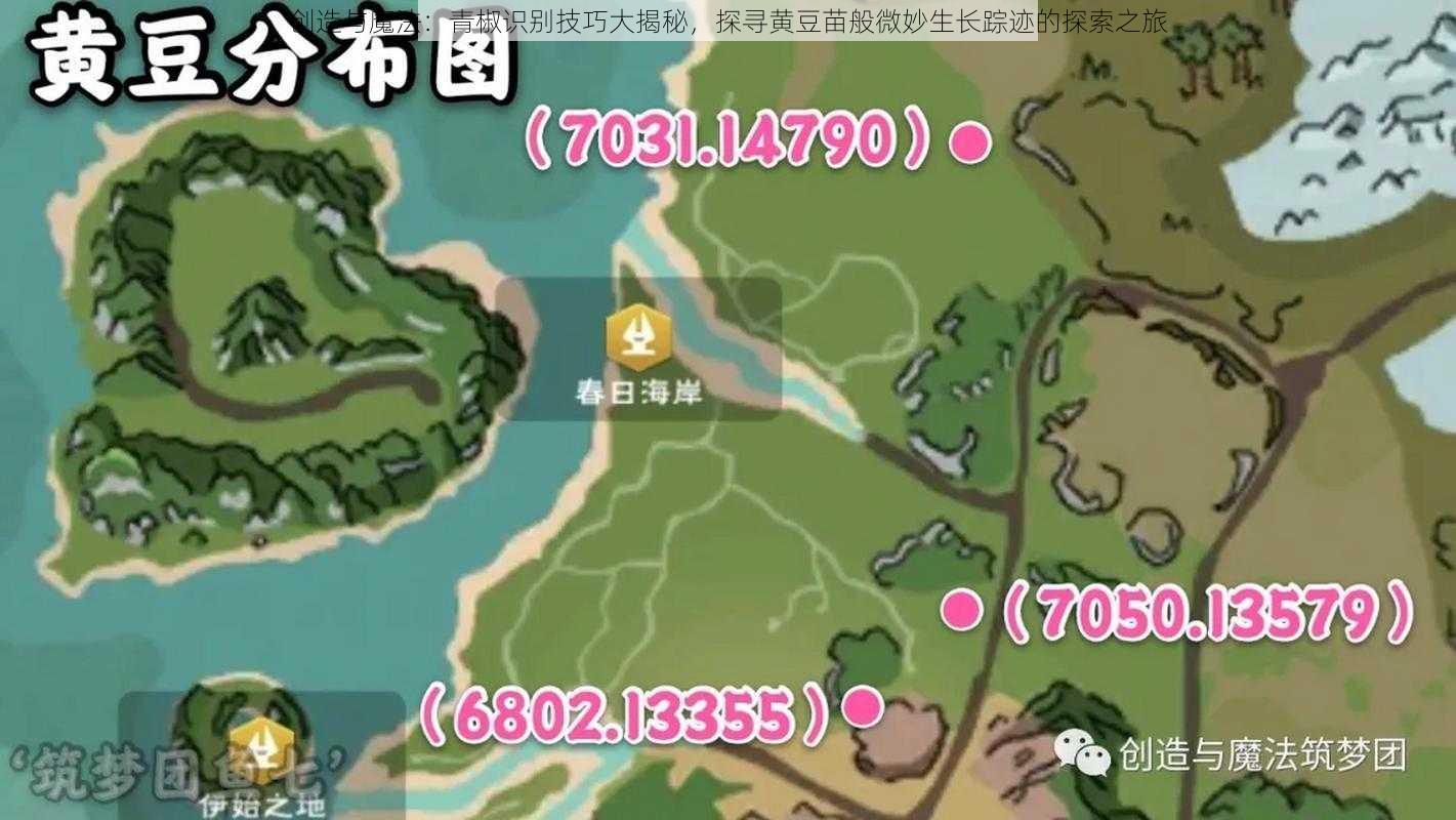 创造与魔法：青椒识别技巧大揭秘，探寻黄豆苗般微妙生长踪迹的探索之旅