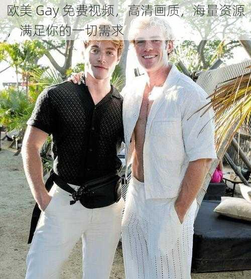 欧美 Gay 免费视频,高清画质,海量资源,满足你的一切需求