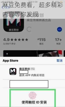 麻豆免费看，超多精彩内容等你发现
