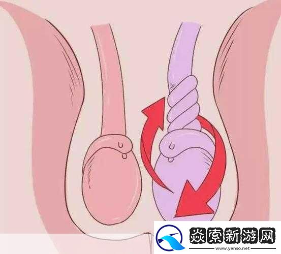 但是睾丸被注入了高浓缩药剂：1.-高浓缩药剂注入睾丸的潜在影响与后果