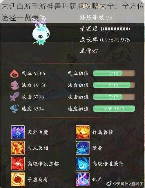 大话西游手游神兽丹获取攻略大全：全方位途径一览表