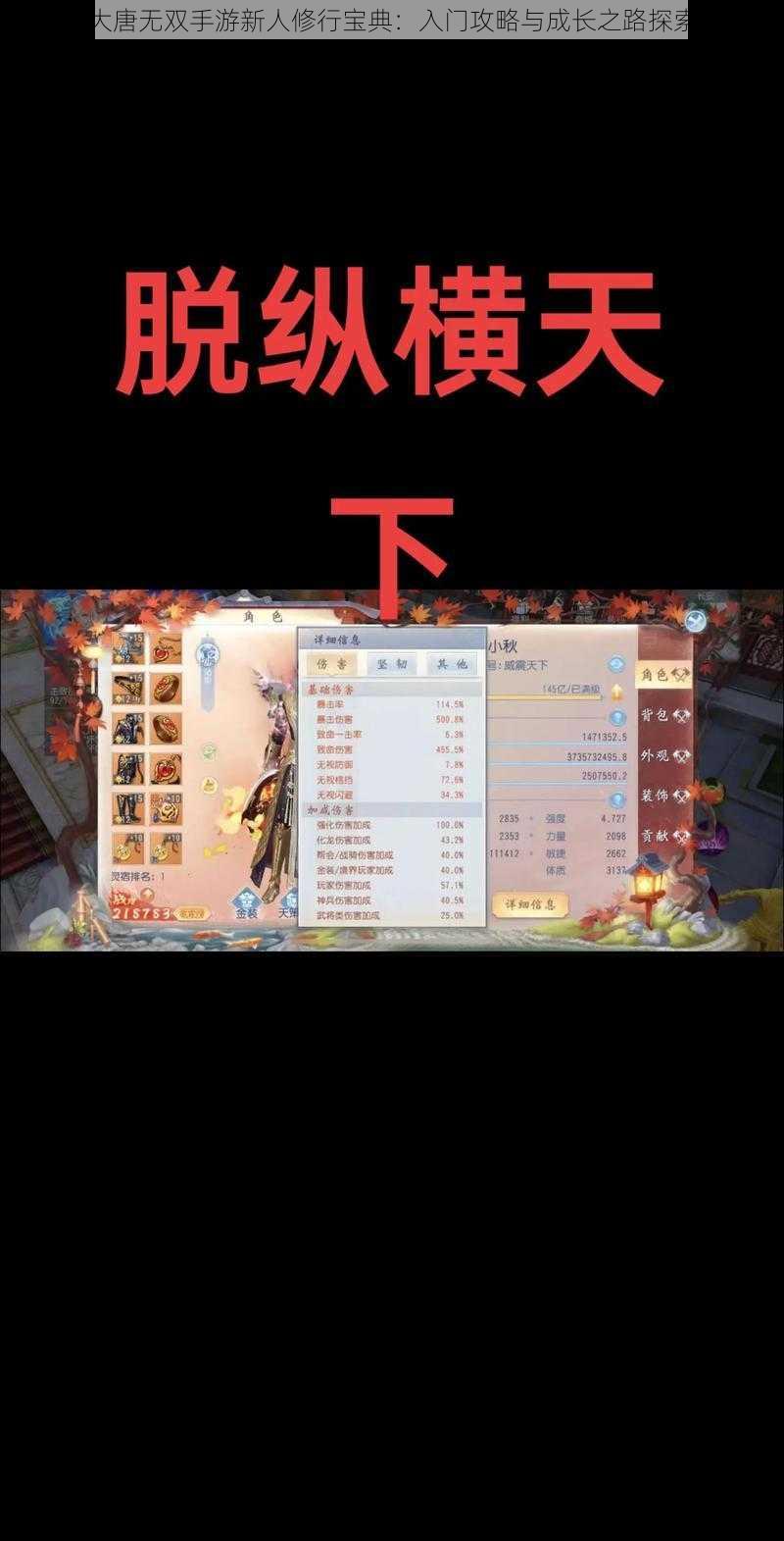 大唐无双手游新人修行宝典:入门攻略与成长之路探索