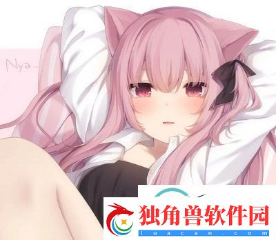 神偷鲍勃