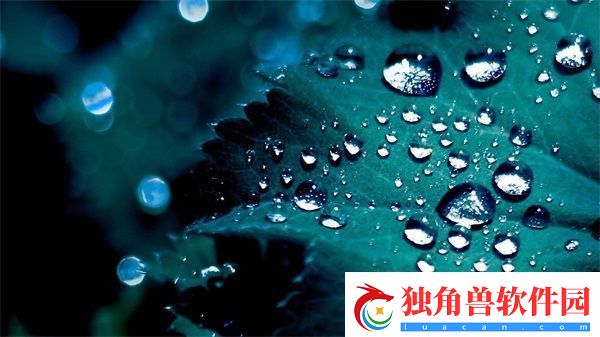 老公的叔叔天天在我家吃饭正常吗：解决方案与建议
