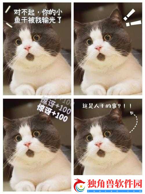 这地方好棒哦：我很惊讶