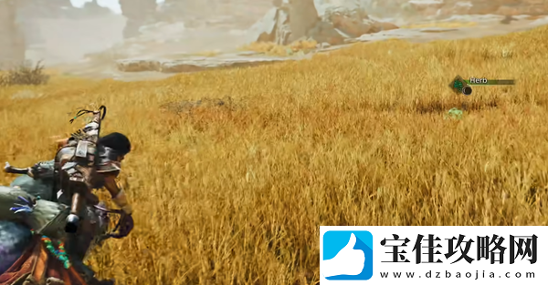怪物猎人荒野基本动作有哪些