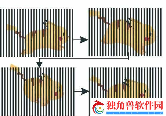 大白兔上的两颗葡萄是什么：探究其奥秘