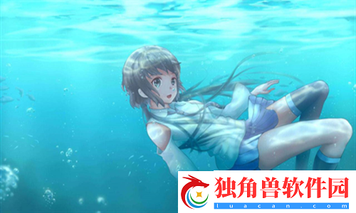绑定jy收集系统姑父：全面分析与实用指南