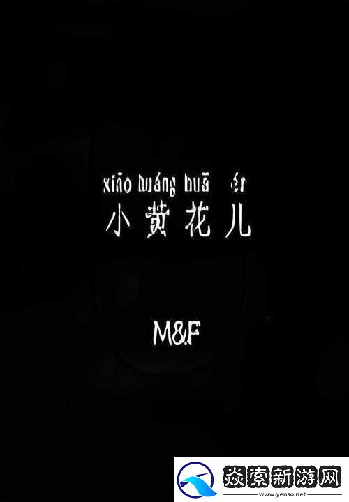 小黄花必看的站：热门影视、小说、音乐、游戏等资源分享平台
