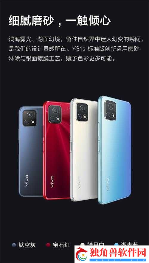 一级成色好的-Y31S-标准版评测最近超火爆之全面解析
