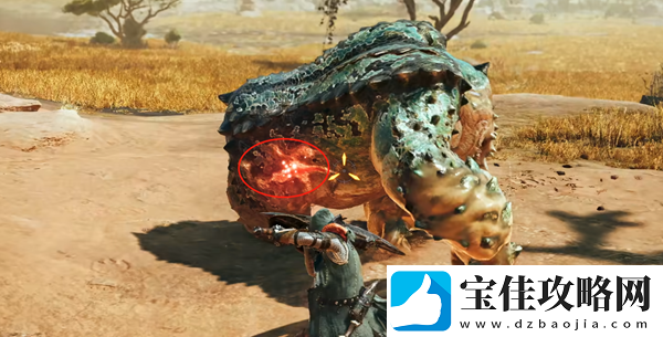 怪物猎人荒野集中模式是什么