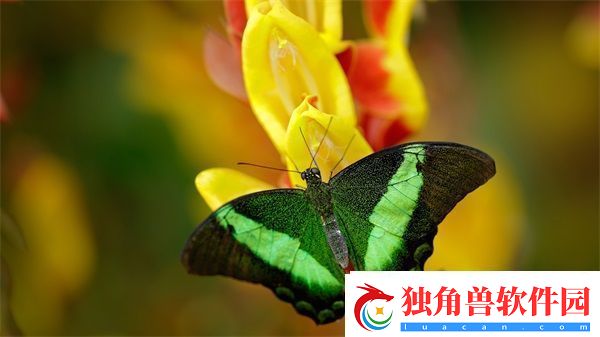 音乐老师的饺子水好多：细节与关爱在其中