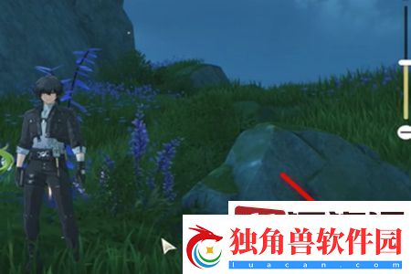 鸣潮邀请维里柰拍照任务怎么完成