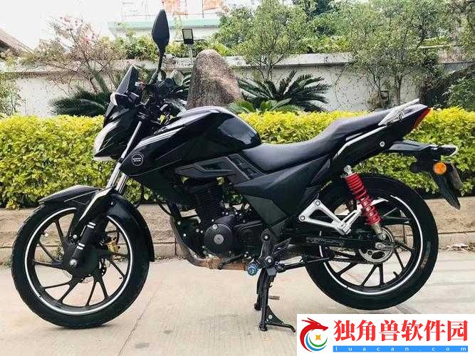 本色-bx57t-特点：动力强劲操控灵活