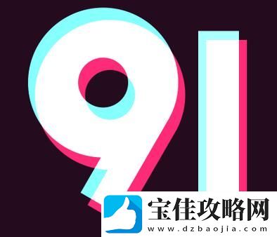 安装9.1视频极速版