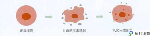看镜子里我们的结合的地方科学