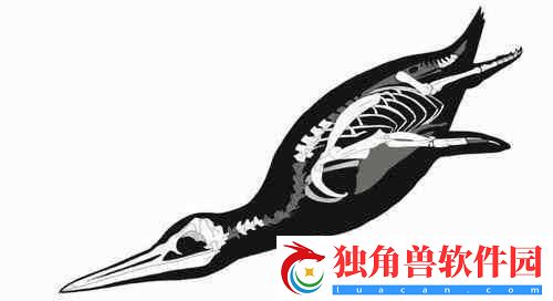 人马畜禽CROPROATION：关于它们的研究