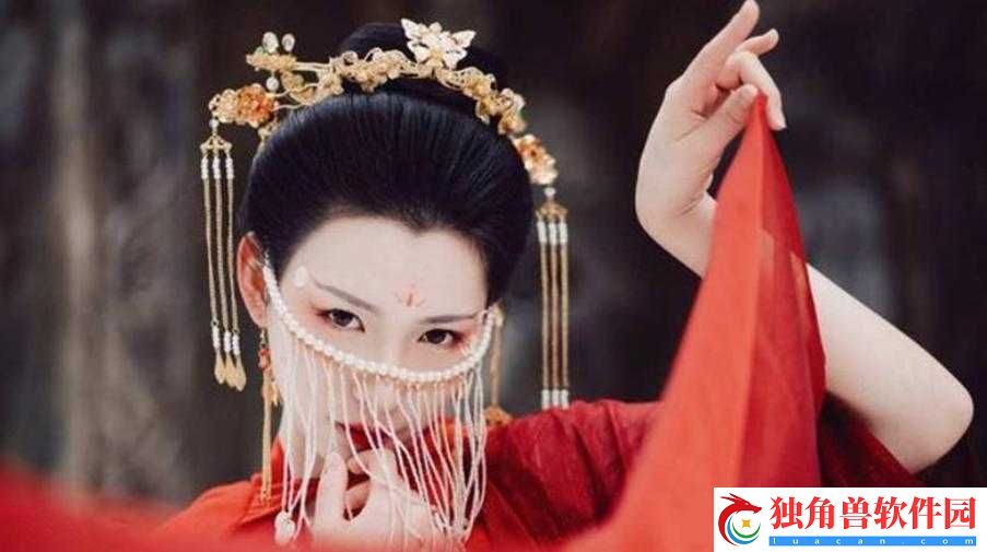 侯府婢是-1v2-吗：探寻背后真相