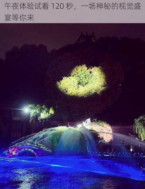 午夜体验试看 120 秒,一场神秘的视觉盛宴等你来