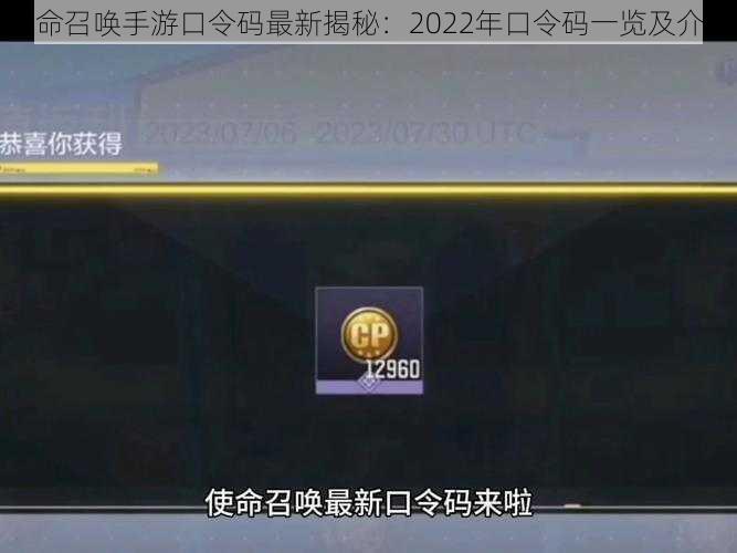 使命召唤手游口令码最新揭秘:2022年口令码一览及介绍