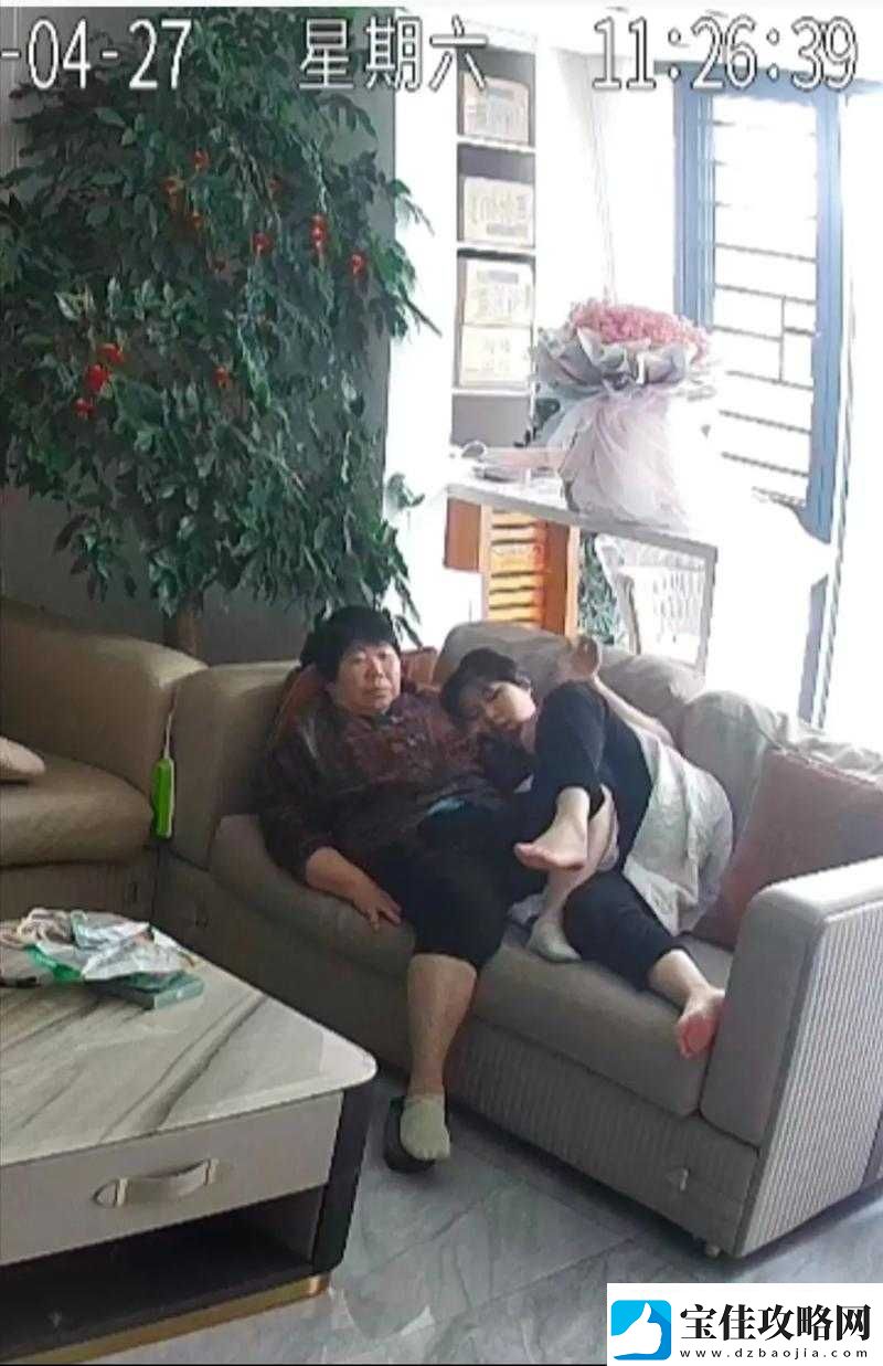 山东老妇遭盗摄性A片事件引发社会广泛关注