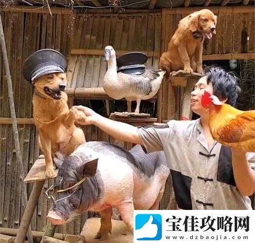 人与畜禽corporation