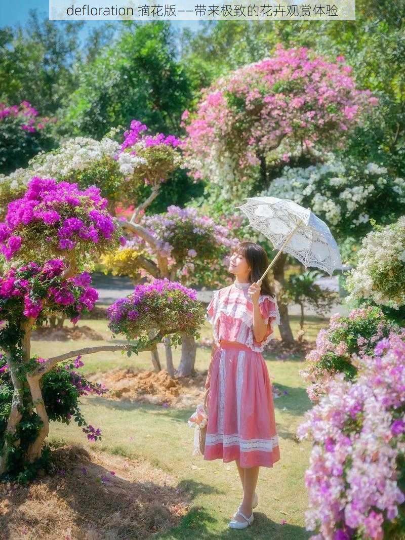 defloration 摘花版——带来极致的花卉观赏体验