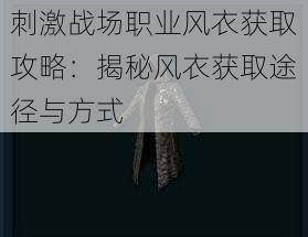 刺激战场职业风衣获取攻略：揭秘风衣获取途径与方式