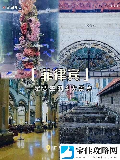 HDXXXXX8-19HDXXD-相关内容：探索其独特魅力与意义