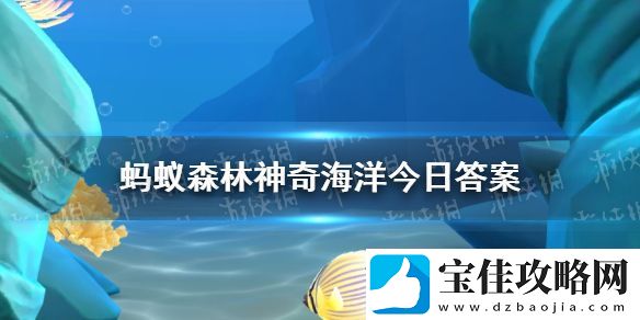 猜一猜以下哪种蟹会排队换壳