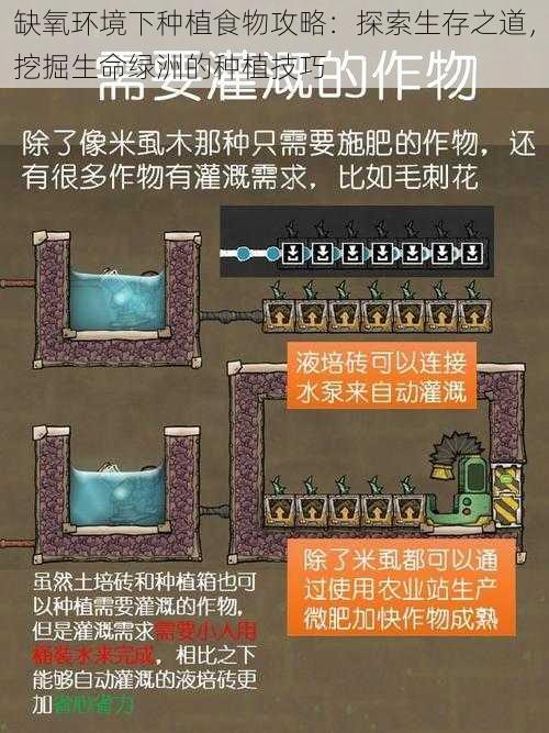 缺氧环境下种植食物攻略：探索生存之道，挖掘生命绿洲的种植技巧