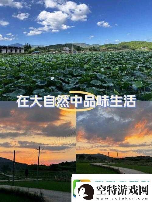 仙踪林站主页：品味自然-享受生活
