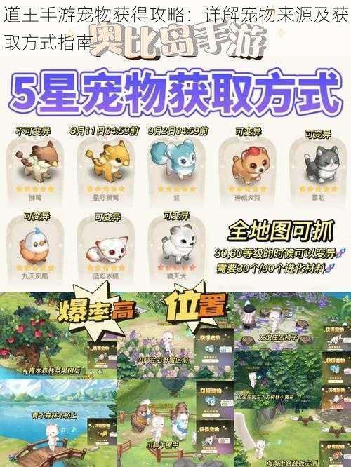 道王手游宠物获得攻略:详解宠物来源及获取方式指南