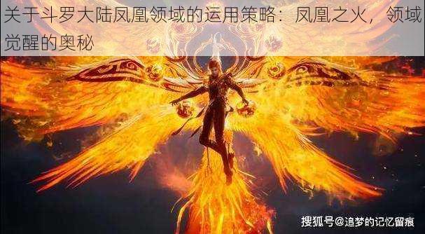 关于斗罗大陆凤凰领域的运用策略:凤凰之火,领域觉醒的奥秘