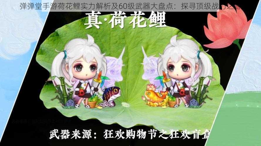 弹弹堂手游荷花鲤实力解析及60级武器大盘点:探寻顶级战力之源