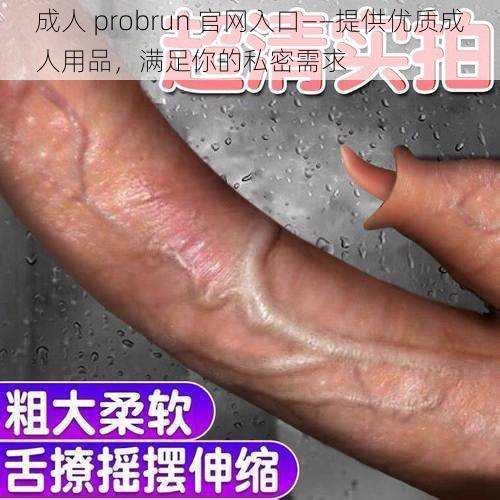 成人 probrun 官网入口——提供优质成人用品，满足你的私密需求